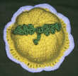 Thistlebees Image