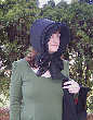 Thistlebees Image